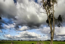 华体会：中乙：山东泰山B队2-2南通海门珂缔缘队.